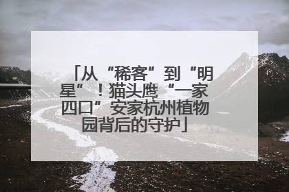 从“稀客”到“明星”！猫头鹰“一家四口”安家杭州植物园背后的守护