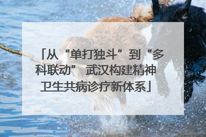 从“单打独斗”到“多科联动” 武汉构建精神卫生共病诊疗新体系