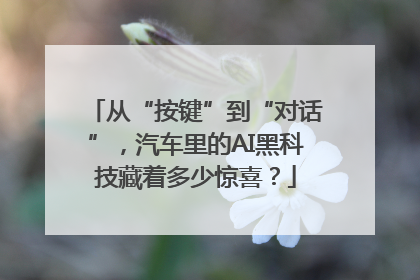 从“按键”到“对话”，汽车里的AI黑科技藏着多少惊喜？