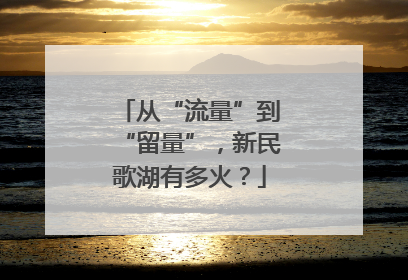 从“流量”到“留量”，新民歌湖有多火？