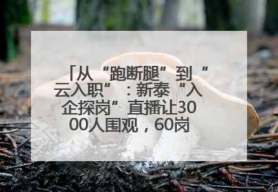 从“跑断腿”到“云入职”：新泰“入企探岗”直播让3000人围观，60岗位一周填满