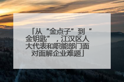 从“金点子”到“金钥匙”，江汉区人大代表和职能部门面对面解企业难题