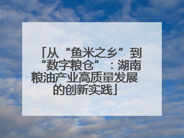 从“鱼米之乡”到“数字粮仓”：湖南粮油产业高质量发展的创新实践