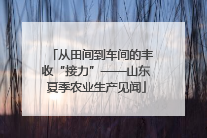 从田间到车间的丰收“接力”——山东夏季农业生产见闻