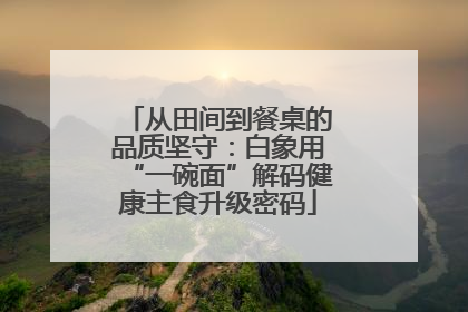 从田间到餐桌的品质坚守：白象用“一碗面”解码健康主食升级密码