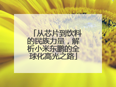 从芯片到饮料的民族力量，解析小米东鹏的全球化高光之路