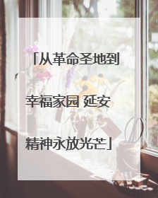 从革命圣地到幸福家园 延安精神永放光芒