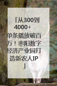 从300到4000+ 单条播放破百万！枣阳数字经济产业园打造新农人IP