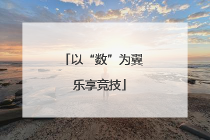 以“数”为翼 乐享竞技