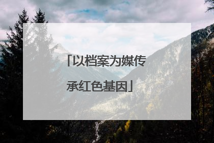 以档案为媒传承红色基因