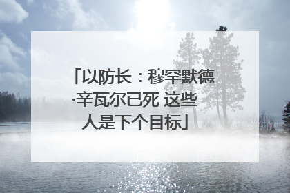 以防长：穆罕默德·辛瓦尔已死 这些人是下个目标