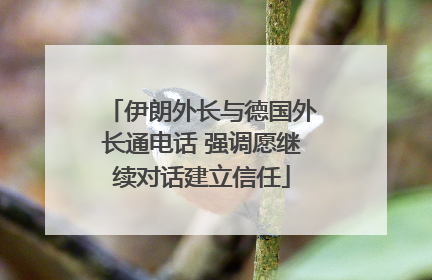 伊朗外长与德国外长通电话 强调愿继续对话建立信任