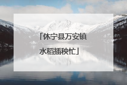 休宁县万安镇水稻插秧忙