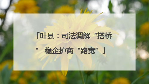 叶县：司法调解“搭桥” 稳企护商“路宽”