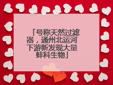 号称天然过滤器，通州北运河下游新发现大量蚌科生物