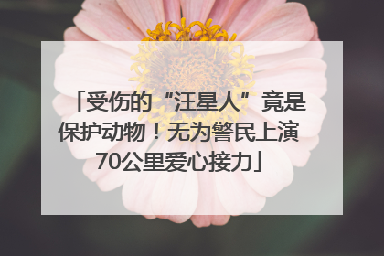 受伤的“汪星人”竟是保护动物！无为警民上演70公里爱心接力