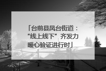 台前县凤台街道：“线上线下”齐发力 暖心验证进行时
