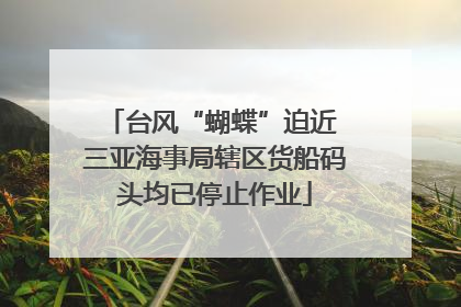 台风“蝴蝶”迫近 三亚海事局辖区货船码头均已停止作业