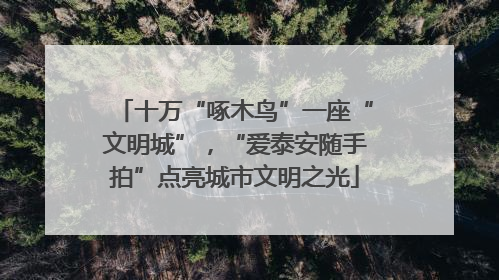 十万“啄木鸟”一座“文明城”，“爱泰安随手拍”点亮城市文明之光