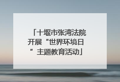 十堰市张湾法院开展“世界环境日”主题教育活动