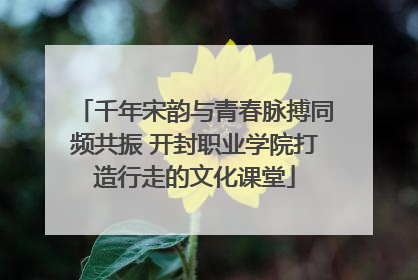 千年宋韵与青春脉搏同频共振 开封职业学院打造行走的文化课堂