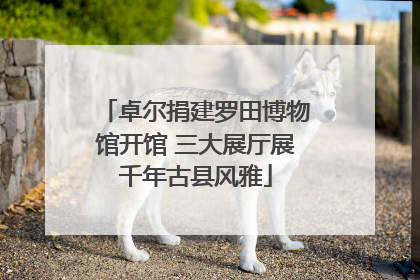 卓尔捐建罗田博物馆开馆 三大展厅展千年古县风雅