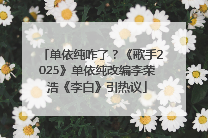 单依纯咋了？《歌手2025》单依纯改编李荣浩《李白》引热议