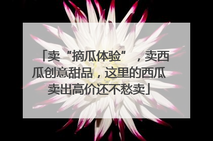 卖“摘瓜体验”，卖西瓜创意甜品，这里的西瓜卖出高价还不愁卖