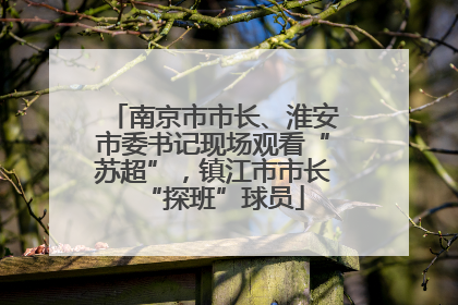 南京市市长、淮安市委书记现场观看“苏超”，镇江市市长“探班”球员