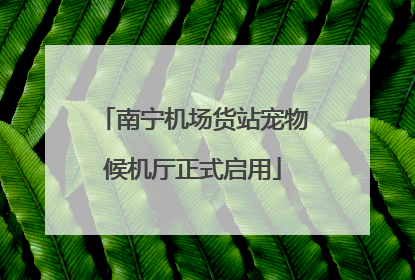 南宁机场货站宠物候机厅正式启用