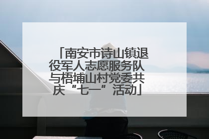 南安市诗山镇退役军人志愿服务队与梧埔山村党委共庆“七一”活动