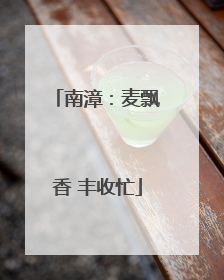 南漳：麦飘香 丰收忙