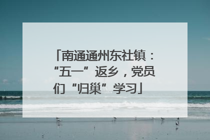 南通通州东社镇：“五一”返乡，党员们“归巢”学习