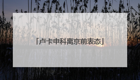 卢卡申科离京前表态