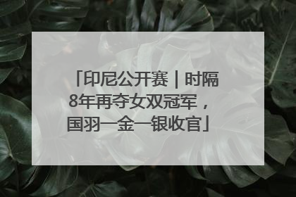 印尼公开赛｜时隔8年再夺女双冠军，国羽一金一银收官