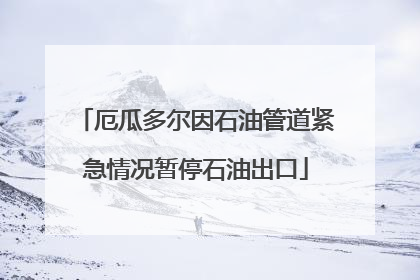 厄瓜多尔因石油管道紧急情况暂停石油出口