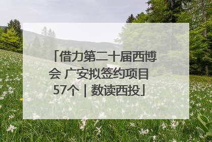 借力第二十届西博会 广安拟签约项目57个｜数读西投