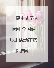健步丈量大运河 全国健步走活动在洛阳启动