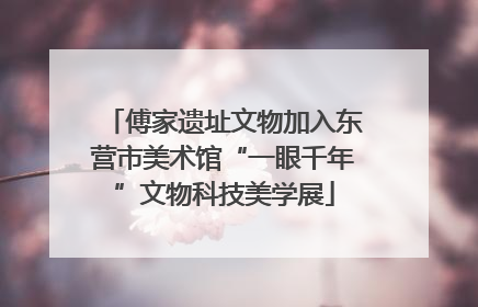 傅家遗址文物加入东营市美术馆“一眼千年”文物科技美学展