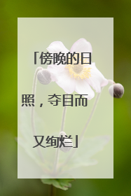 傍晚的日照，夺目而又绚烂