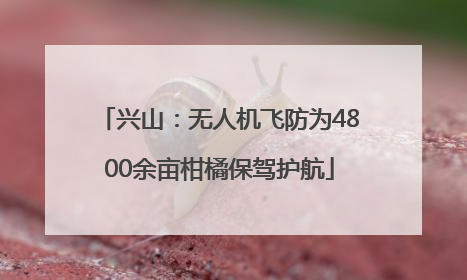 兴山：无人机飞防为4800余亩柑橘保驾护航
