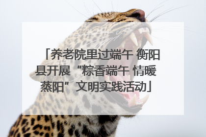 养老院里过端午 衡阳县开展“粽香端午 情暖蒸阳”文明实践活动
