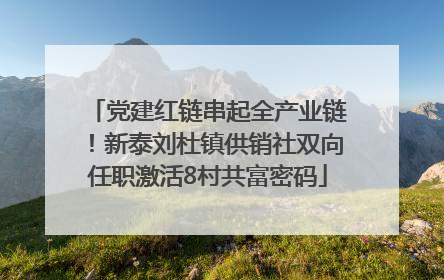 党建红链串起全产业链！新泰刘杜镇供销社双向任职激活8村共富密码