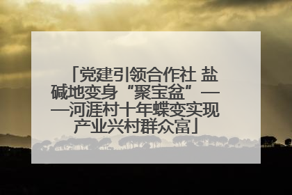 党建引领合作社 盐碱地变身“聚宝盆”——河涯村十年蝶变实现产业兴村群众富