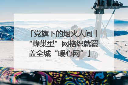 党旗下的烟火人间丨“蜂巢型”网格织就覆盖全城“暖心网”