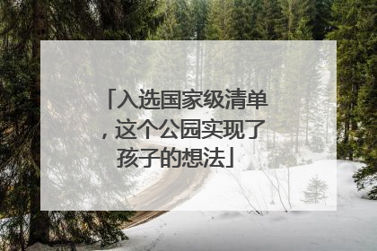 入选国家级清单，这个公园实现了孩子的想法