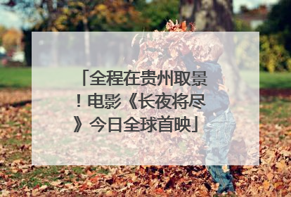 全程在贵州取景！电影《长夜将尽》今日全球首映