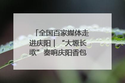 全国百家媒体走进庆阳｜“大塬长歌”奏响庆阳香包民俗文化节序曲