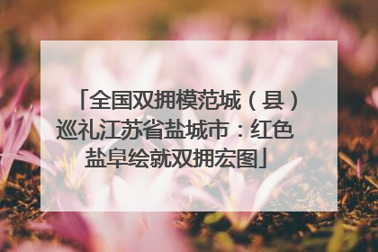 全国双拥模范城（县）巡礼江苏省盐城市：红色盐阜绘就双拥宏图