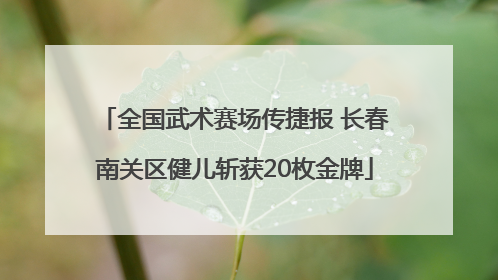 全国武术赛场传捷报 长春南关区健儿斩获20枚金牌